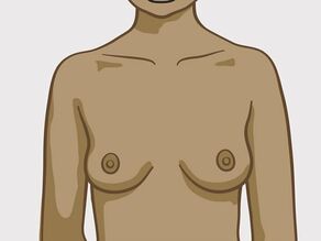 Différents types de seins : seins ronds de taille moyenne