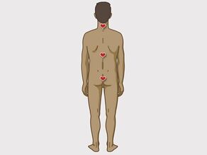 Erojen bölgelerin gösterildiği bir erkek vücudunun arkadan görünüşü
